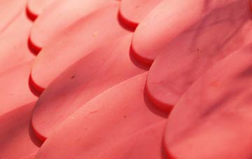 Sugnall plastic roof costs